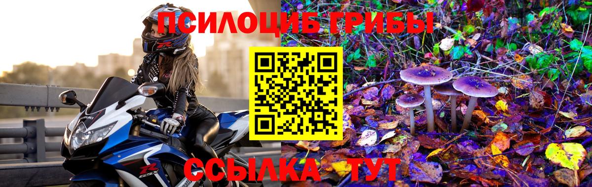 Псилоцибиновые грибы прущие грибы Владикавказ